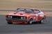 sun_grp_c_0019