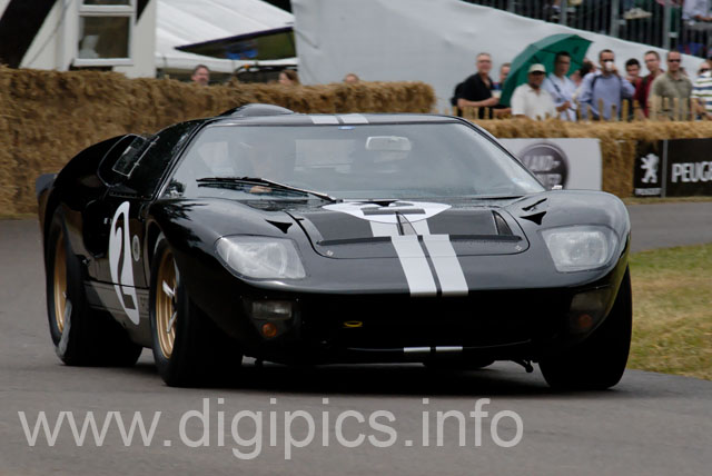 _DSC0240_DxO_raw