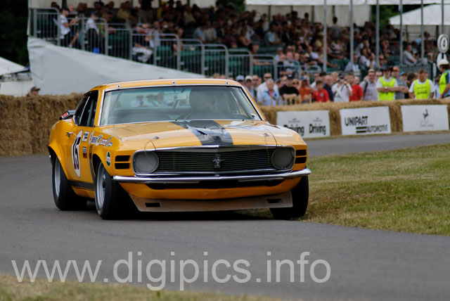 _DSC0768_DxO_raw
