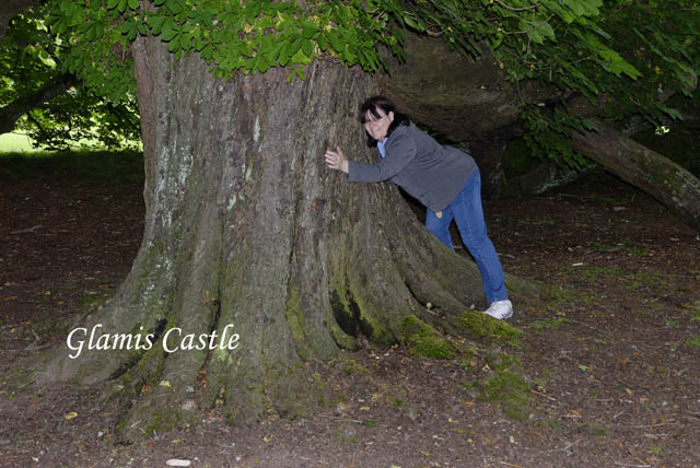 GlamisCastle_3