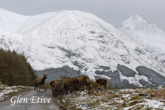 GlenEtive_3