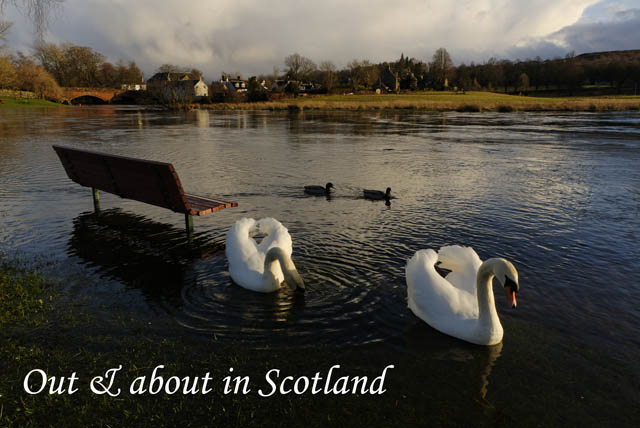Out&AboutinScotland_1