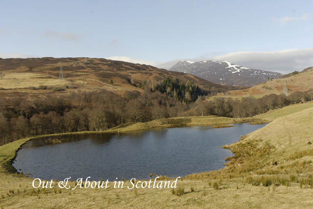Out&AboutinScotland_14