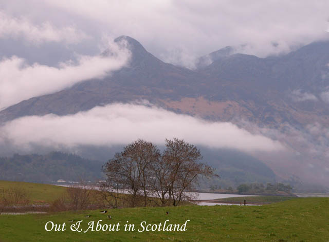Out&AboutinScotland_19