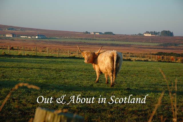 Out&AboutinScotland_32