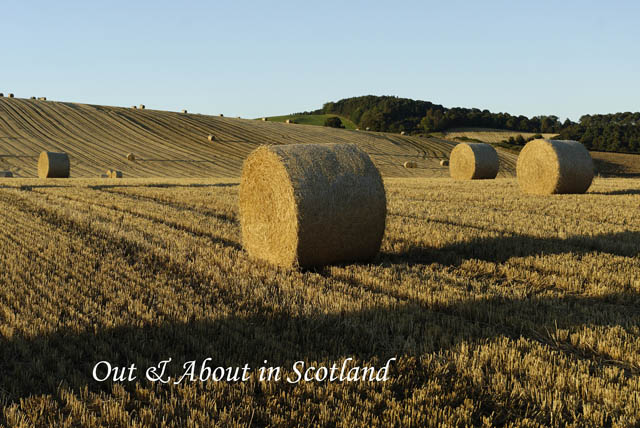 Out&AboutinScotland_4