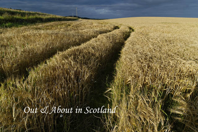 Out&AboutinScotland_5
