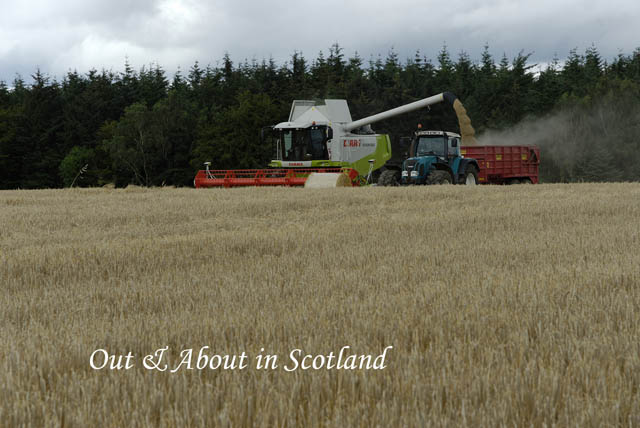 Out&AboutinScotland_9