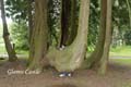 GlamisCastle_4