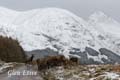 GlenEtive_3