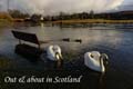 Out&AboutinScotland_1