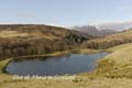 Out&AboutinScotland_14