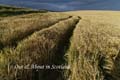 Out&AboutinScotland_5