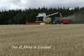 Out&AboutinScotland_9
