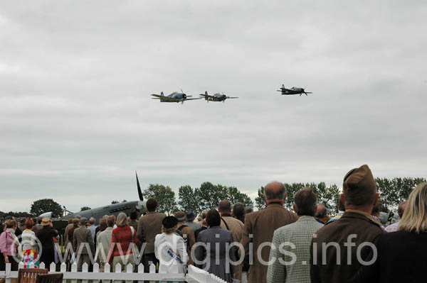 DSC_0260_DXO