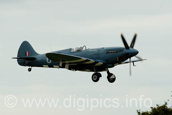 DSC_1178_DXO