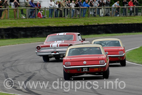 DSC_1215_DXO