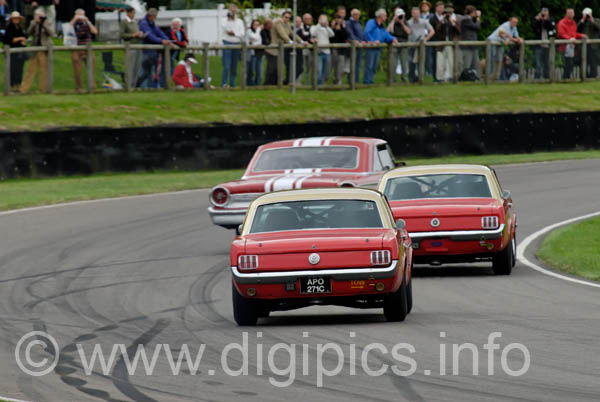 DSC_1216_DXO