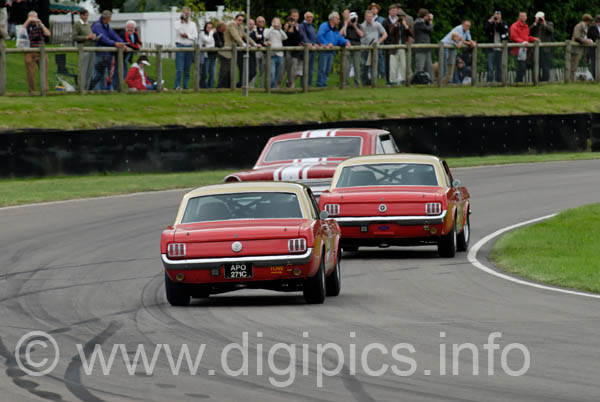 DSC_1217_DXO