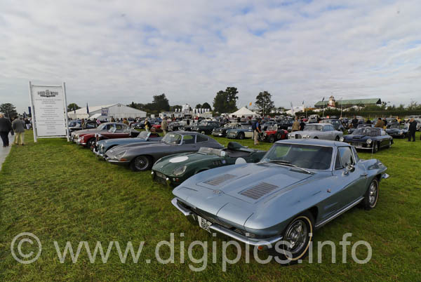 _ACT1631_DXO